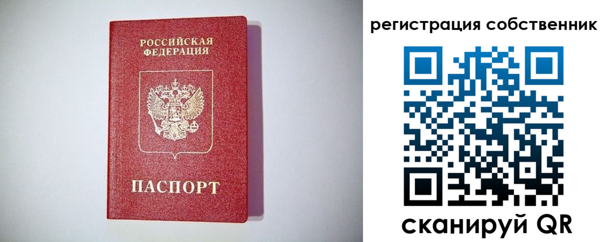 временная регистрация для школы в Клинцах